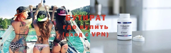 индика Краснослободск