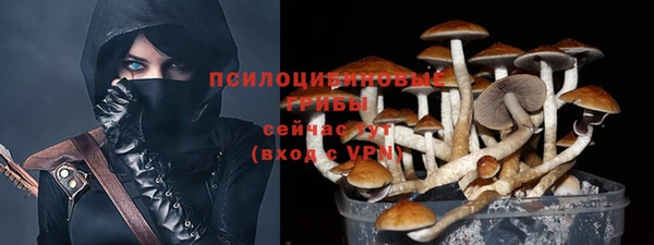 а пвп мука Кукмор