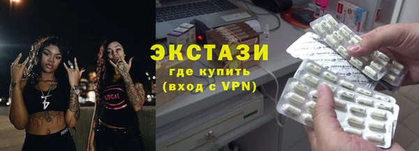 индика Краснослободск