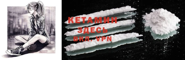 индика Краснослободск