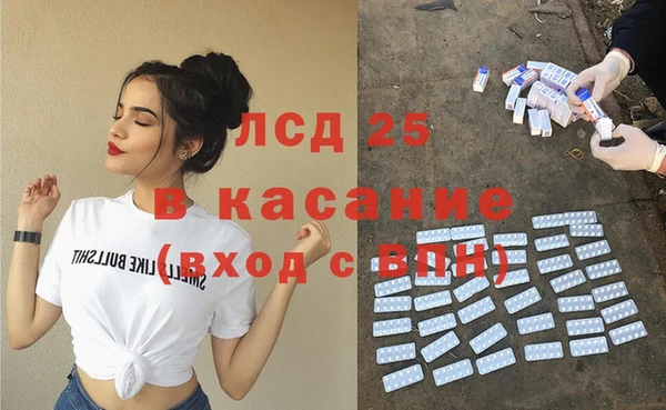 сатива Горняк