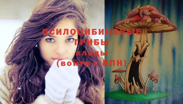 экстази Горно-Алтайск