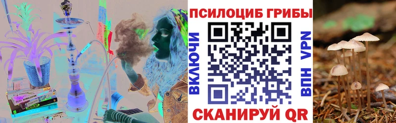 купить  сайты  Железногорск-Илимский  дарк нет состав  Псилоцибиновые грибы мухоморы 