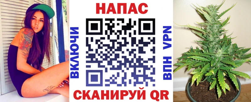 Бошки Шишки SATIVA & INDICA  ОМГ ОМГ ССЫЛКА  Железногорск-Илимский 